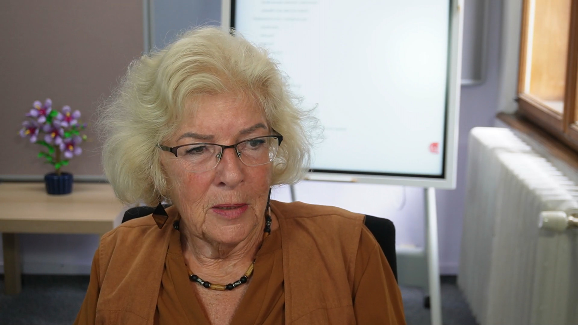 DPH v příkladech ve světle judikatury NSS